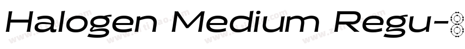 Halogen Medium Regu字体转换